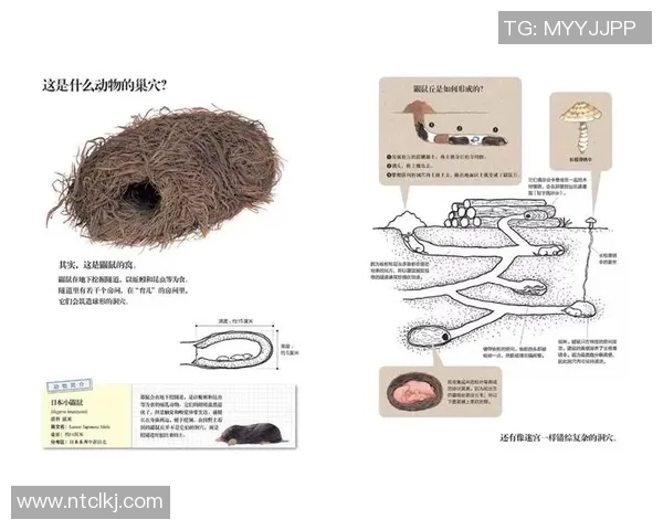绝技大揭秘:足球巨星的神秘绝招全解析 绝技大揭秘:足球巨星的神秘绝招全解析