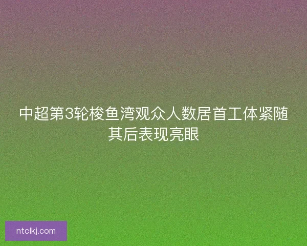 中超第3轮梭鱼湾观众人数居首工体紧随其后表现亮眼