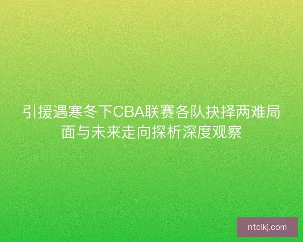 引援遇寒冬下CBA联赛各队抉择两难局面与未来走向探析深度观察