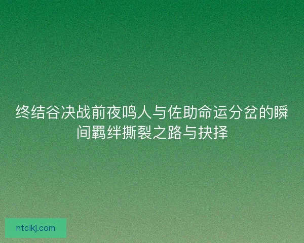 终结谷决战前夜鸣人与佐助命运分岔的瞬间羁绊撕裂之路与抉择